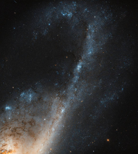 NGC 4536λڴŮԼ5000ꡣͼƬԴ:ESA/NASA