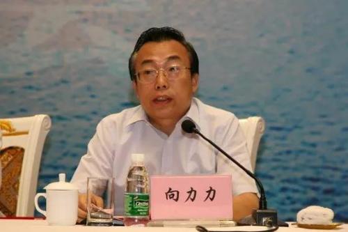 湖南省人大常委会原副主任向力力严重违纪违法被双开